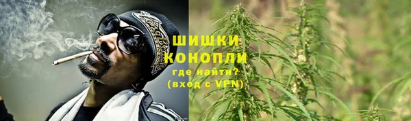 каннабис Новокубанск