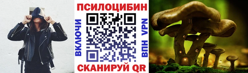 ссылка на мегу онион  Сычёвка  Псилоцибиновые грибы Psilocybine cubensis 