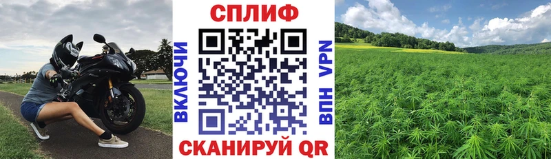 Конопля MAZAR Сычёвка